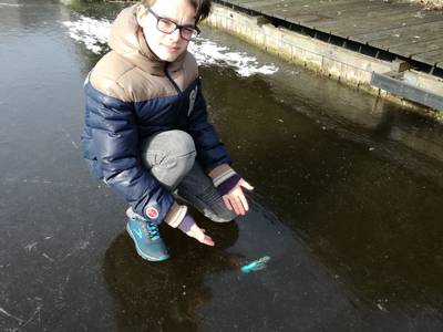Christoph (13) kiekte vastgevroren ijsvogel: Ik had geen idee wat het was