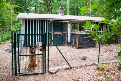 Buurt over wapenvondst Otterlo: 'Wij hebben hier niets mee te maken'