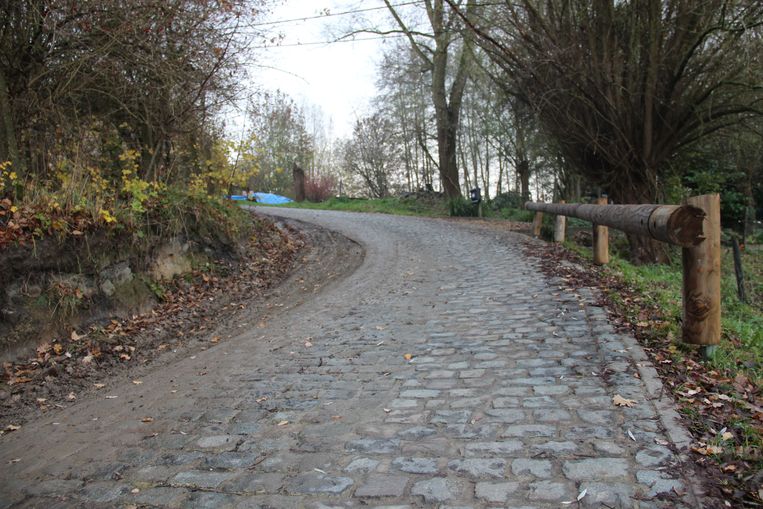 De koers keert terug naar Ten Houte Dwars door Vlaanderen neemt