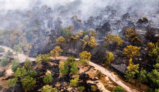 Bluswerken Nederlands-Limburg bemoeilijkt door opstekende wind • Hongaarse kerncentrale was ‘paar millimeter verwijderd’ van sluiting door droogte