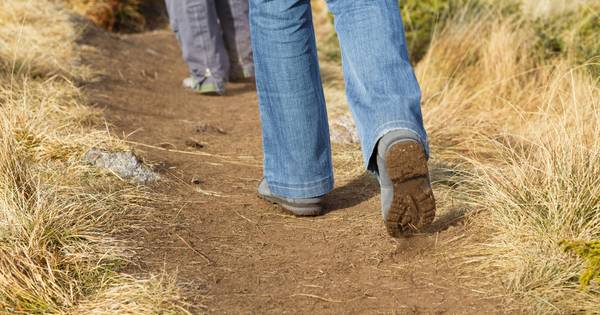 Raad zet streep door plan voor landgoed Lage Zwaluwe