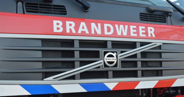 Bosbrand in omgeving Pannenhoef in #Ossendrecht.