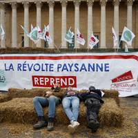 Waarom het Mercosur-handelsverdrag het medicijn tegen het trumpisme is