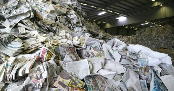 Bedrijf Kapellebrug onderzoekt papierproductie uit grassen | Zeeuws nieuws - PZC