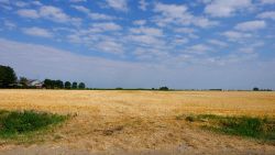 Nooit minder neerslagdagen dan in 2018