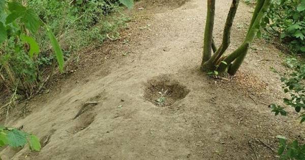 Jongen (9) loopt ernstig beenletsel op na mishandeling door lichtgetintiër in park Tiel.???? .