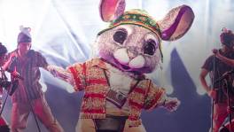 Chinchilla, ontmoet ons aan de APT.