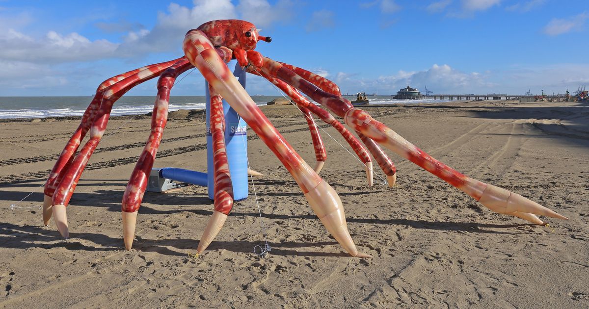 Reuzenkrab op weg naar Sea Life