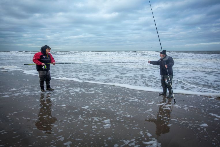 Wijting vangen met scheermessen - Trouw