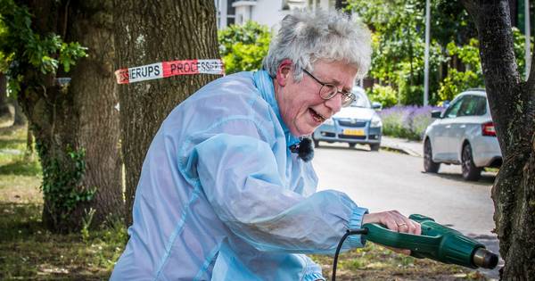 Rupsenkiller Attie (69) krijgt weinig mee van internetroem: 'Nooit van Dumpert gehoord' - De Stentor