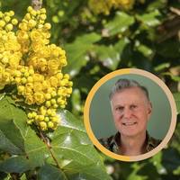 Is berberine écht een ‘natuurlijk afvalmedicijn’ dat werkt als ozempic?