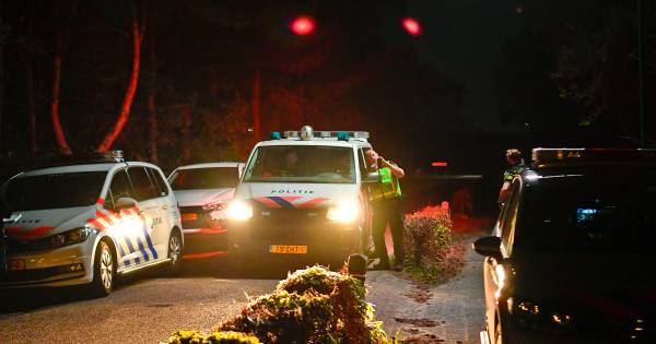 Vrouw (45) vecht drie gewapende overvallers huis uit in Riethoven - BD.nl