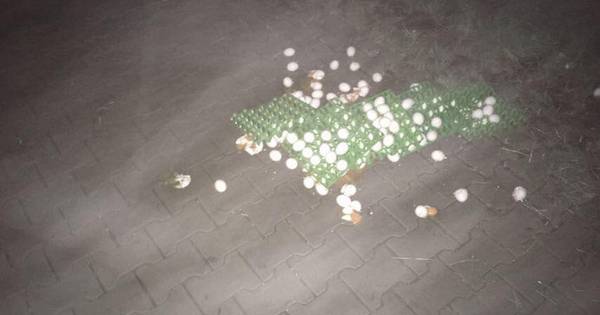 Vandalen die eieren kapot gooiden in Bentelo melden zich - Tubantia