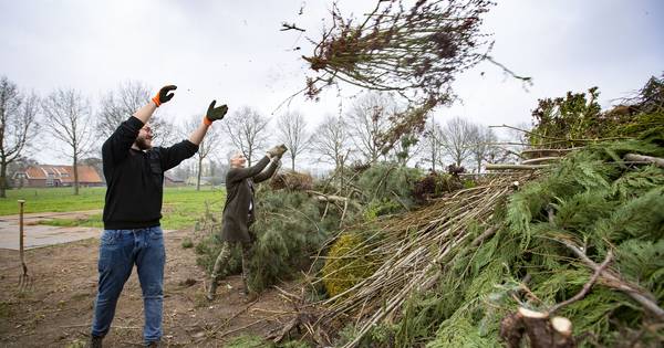 Hout genoeg: boake in Hoeve gaat voortijdig 'op slot' - Tubantia