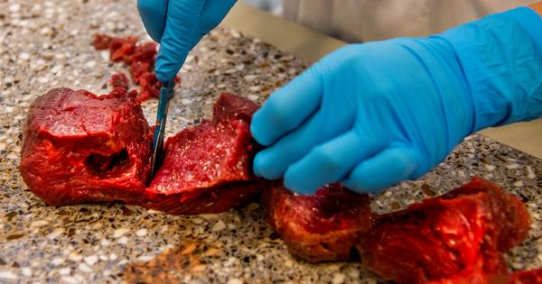 Reacties op facebookvlees: van 'schandalig' tot 'supervlees voor een superprijsje' - Eindhovens Dagb