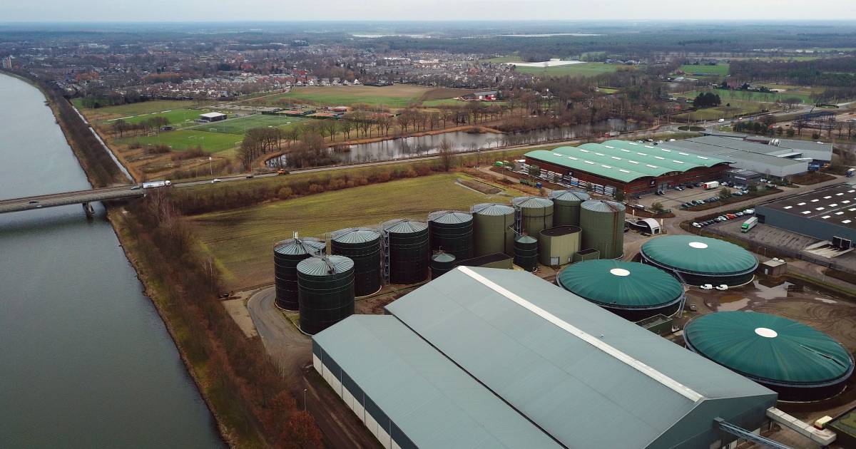 Kies voor de bewoners van Brouwhuis. Die dringende oproep deed de Helmondse wethouder Antoinette Maas dinsdag bij de Raad van State.