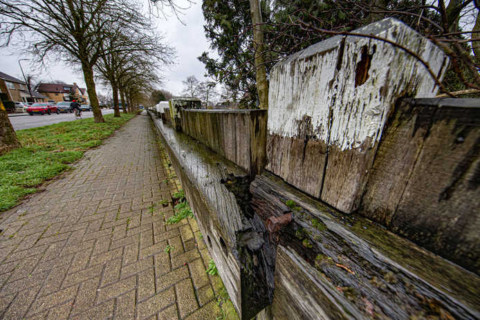 Urk restaureert de palenschermen die het dorp vroeger beschermden tegen de zee. De komende maanden wordt het gedeelte op de Noord en de Pyramideweg vervangen.