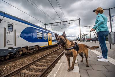 Grote controle op spoor Arnhem en Nijmegen: 'veel coke en ketamine'