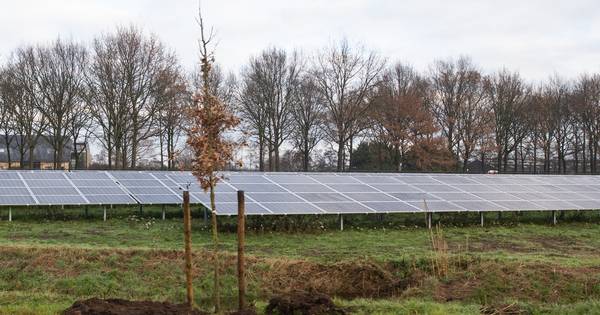 Hedikhuizen Duurzaam krijgt steun van Heusden | Waalwijk, Heusden eo - BD.nl