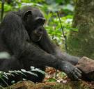 Dit mag u niet missen op tv vanavond