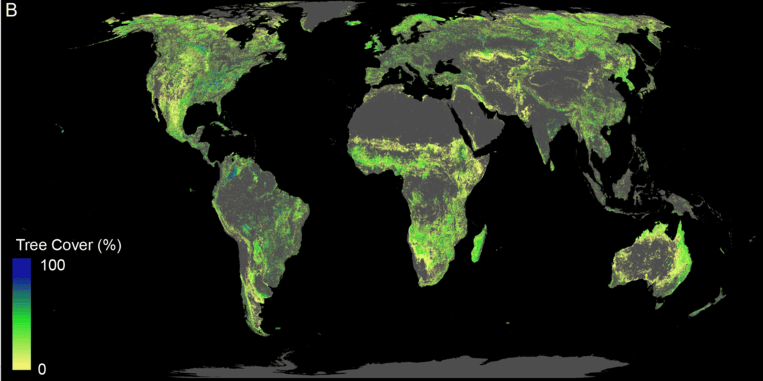 De ‘ontbrekende’ aanplant in de wereld: hoe blauwer, des te meer bomen er mogelijk zijn. Op de kaart zijn alleen de gebieden te zien waar aanplant mogelijk is, dus zonder steden, landbouwgebieden, al beboste gebieden, moerassen etcetera. Beeld Crowther Lab
