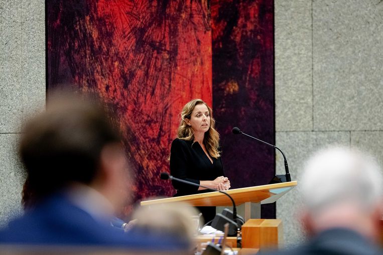 PvdD-leider Marianne Thieme tijdens de Algemene Politieke Beschouwingen. Beeld ANP