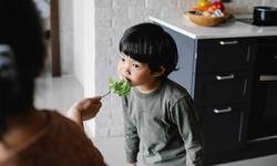 9 op de 10 Belgische ouders worstelen met kroost die moeilijk eet: “We verwachten te veel van een kind aan de eettafel”, zegt gezinspsychologe