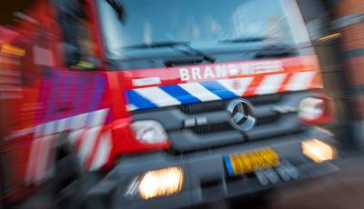 Twaalf brandweerwagens naar Amerongen voor natuurbrand