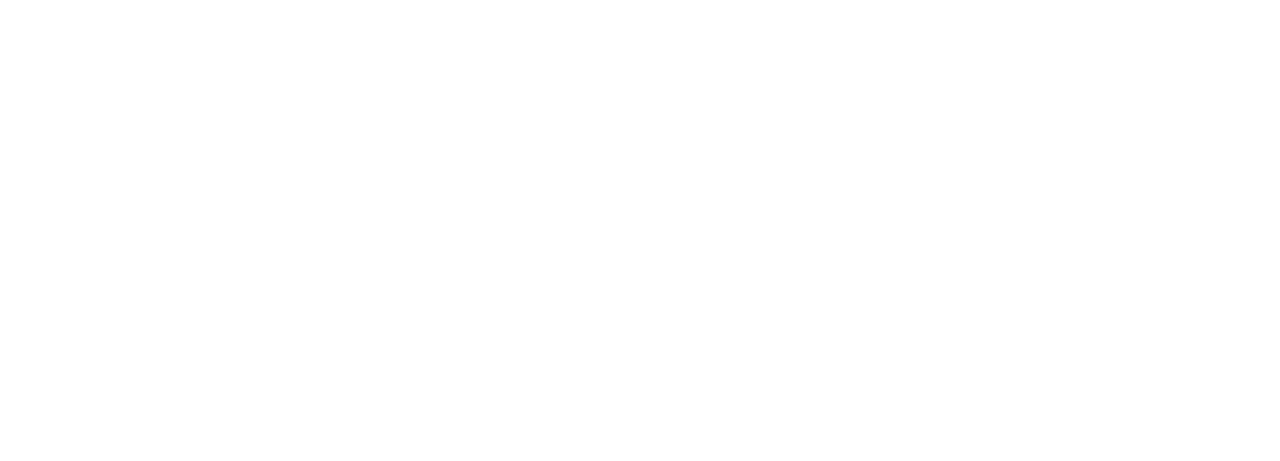 Alloo bij de Wegpolitie