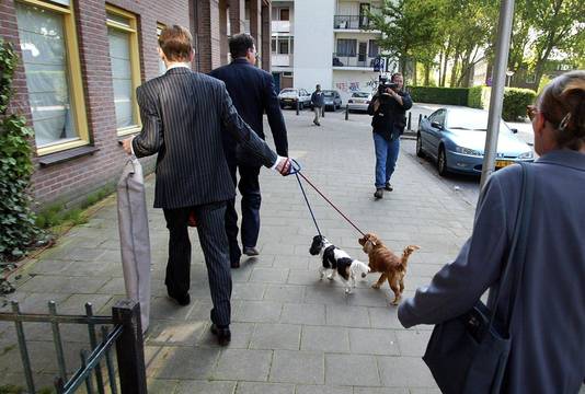 Laatste hondje Pim Fortuyn overleden | Rotterdam | AD.nl