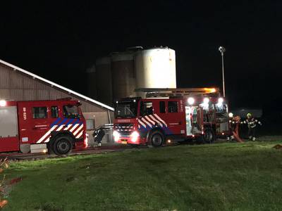 Honderd varkens omgekomen bij grote brand in varkensstal