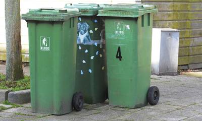 Groene afvalbak vaker geleegd bij wijze van proef