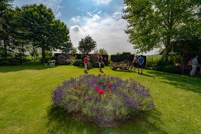 Open Tuinendag Moerdijk: 'We halen energie en geluk uit onze tuin’