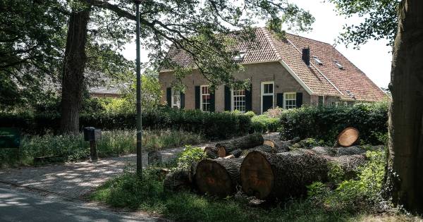 Twee aangiftes van zedendelict tegen eigenares Achterhoekse zorgboerderij