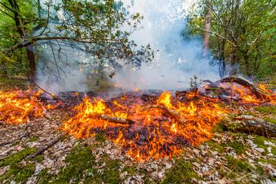 Tiende bosbrand in week tijd bij Stiphout, politie vindt sporen brandstichting