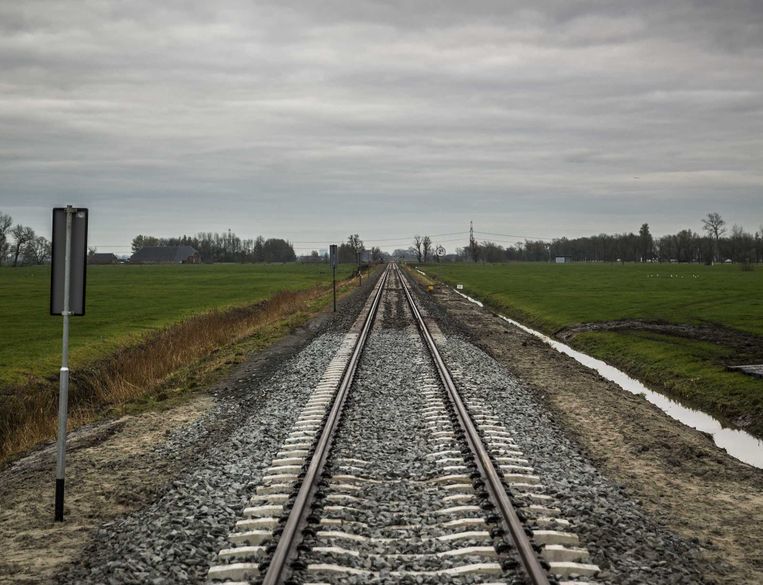 Een bloemetje voor de tweede trein naar Roodeschool - Trouw