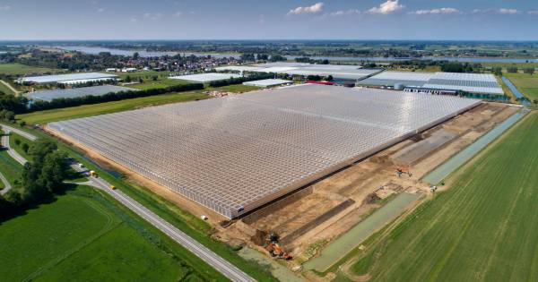Dwangsom dreigt voor Dutch Berries in Zuilichem; groenstrook is niet in orde - BD.nl