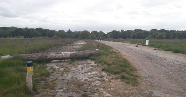 Nieuw pad voor minder-validen over Regte Heide stap dichterbij