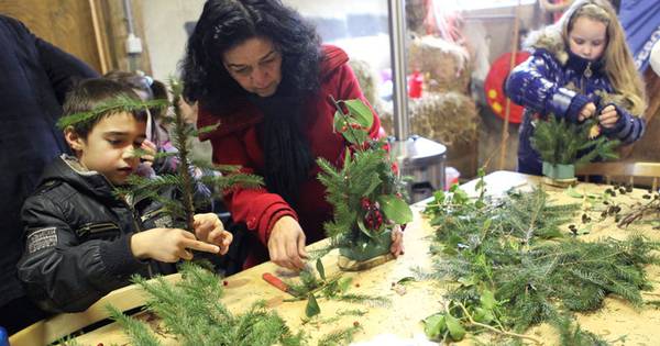 Kerstmarkt Maaskantse Boys voortaan op zondagmiddag | Oss eo - BD.nl