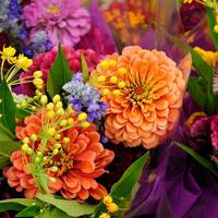 Deze 5 bloemen blijven het langst mooi