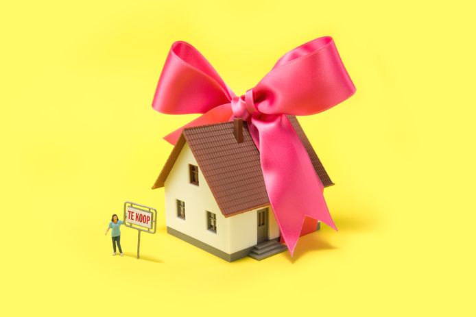 Huis verkopen? Met deze heb je geen makelaar nodig | Economie | AD.nl