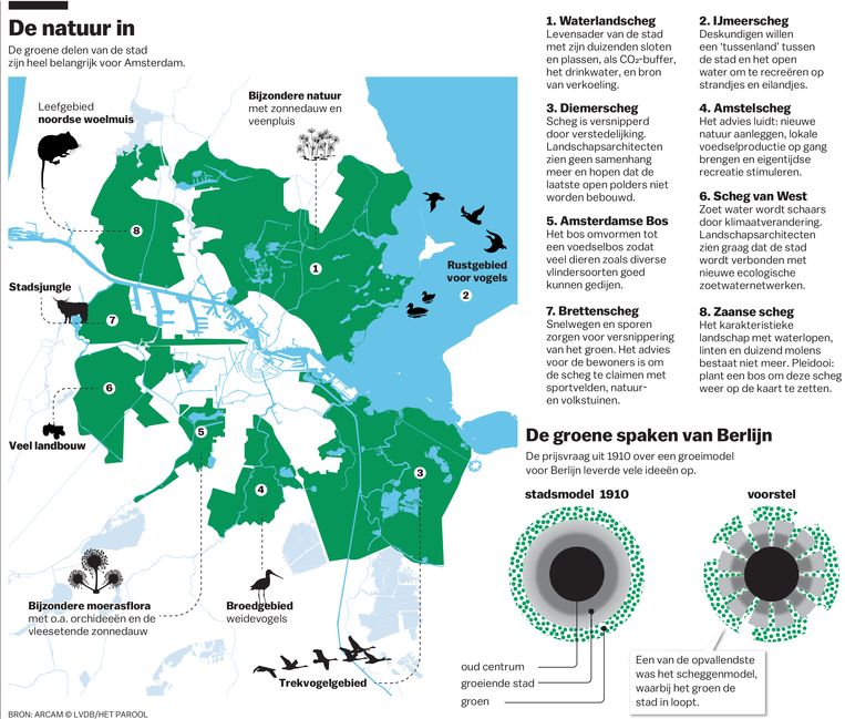 Afbeeldingsresultaat voor scheggen krant amsterdam