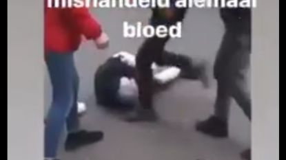 Vechtfilmpje uit Menen gedeeld op Instagram: “Die werd lekker mishandeld. Allemaal bloed”