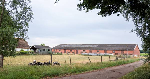 Groen licht voor megastal bij Twenterand: Leefbaar Buitengebied stapt naar rechter - Tubantia