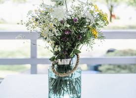 Dít is de perfecte hoeveelheid water voor je bloemen