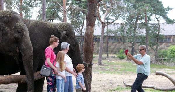 Circus Renz zit door corona vast bij Langeveen: 'Zonder inkomsten is het circus te duur' - Tubantia