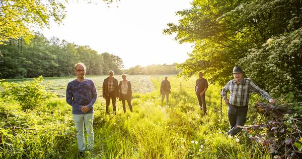 Greune Noabers uit Haarlo: windmolens en zonneparken vernietigen Achterhoeks landschap - Tubantia