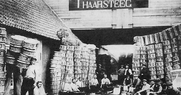 'Dat de mandennijverheid zó groot was? Dat heb ik nooit geweten' - BD.nl