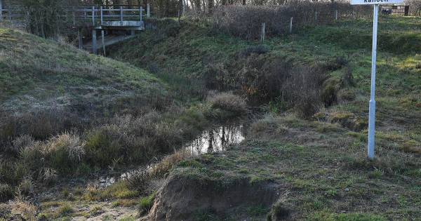 In Oost-Brabant moet een reddingsplan komen voor vissen in droge tijden