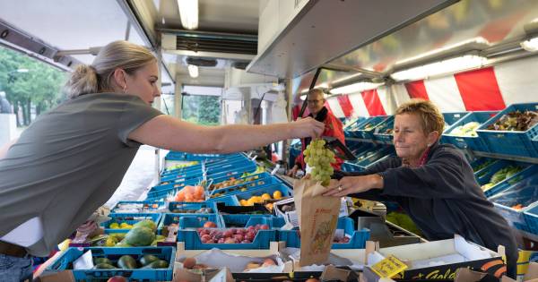 Wijbosch krijgt niet drie, maar zes standplaatsen